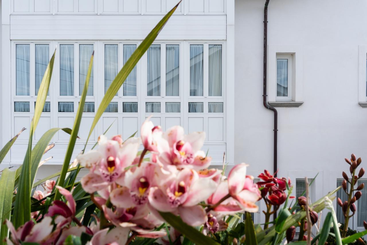 Hotel La Casa De Las Camelias Busto Zewnętrze zdjęcie